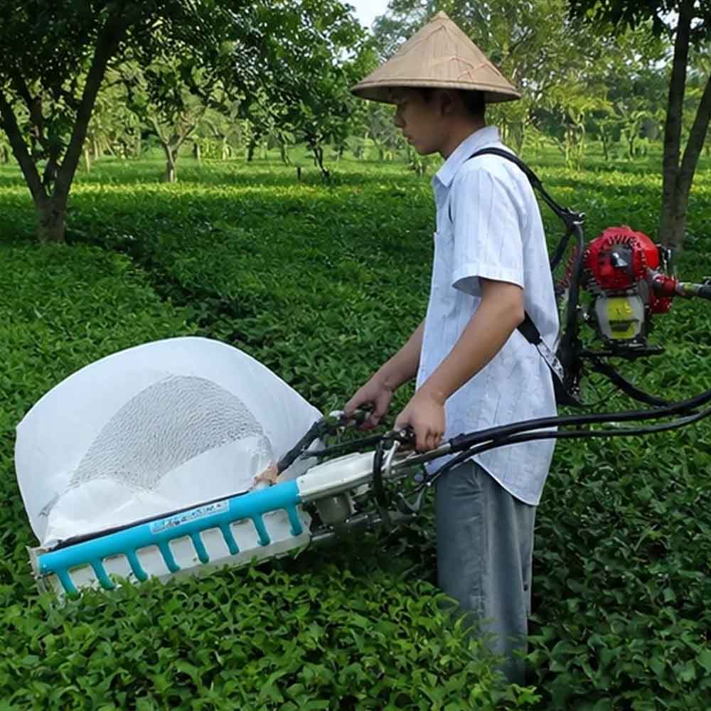 چای چین موتوری 2 زمانه