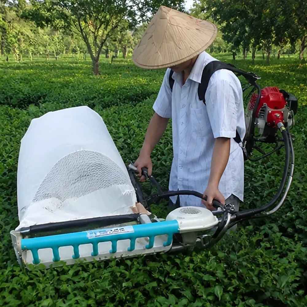 آموزش کا با دستگاه چای چین موتوری